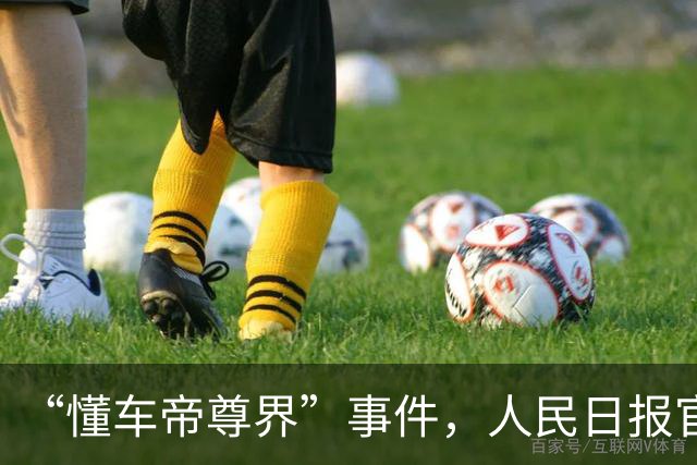 “懂车帝尊界”事件，人民日报官媒定调！