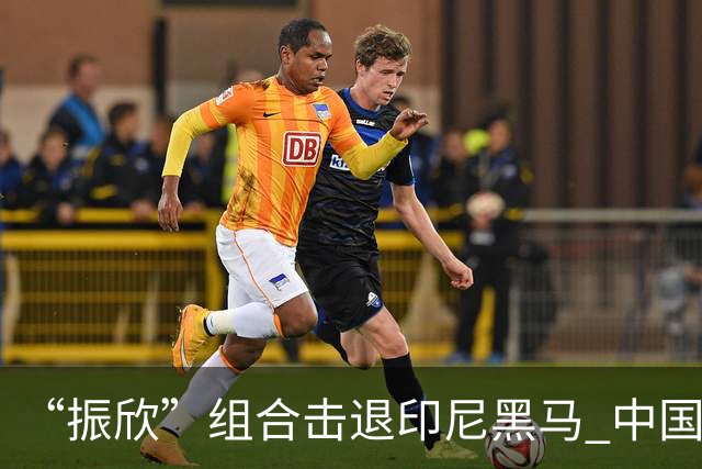 “振欣”组合击退印尼黑马 中国队拿下亚运羽毛球混双四连冠