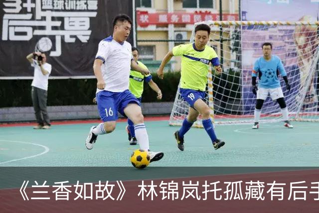 《兰香如故》林锦岚托孤藏有后手，把儿子给大哥，妻子给了兰香