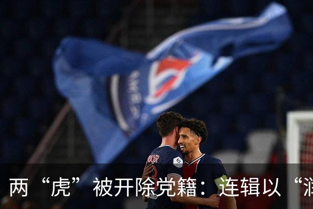 两“虎”被开除党籍：连辑以“润笔费”名义收钱，丁业现占用客房供个人使用