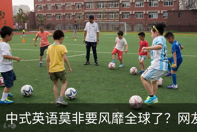 中式英语莫非要风靡全球了？网友：不能被外国人卡脖子！