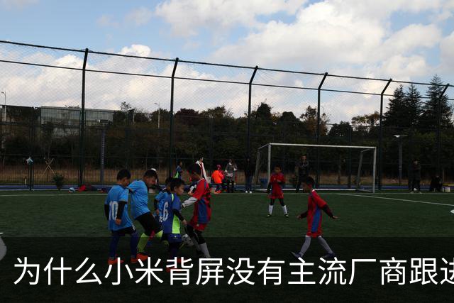 为什么小米背屏没有主流厂商跟进，华为阔直板却引发集体跟风