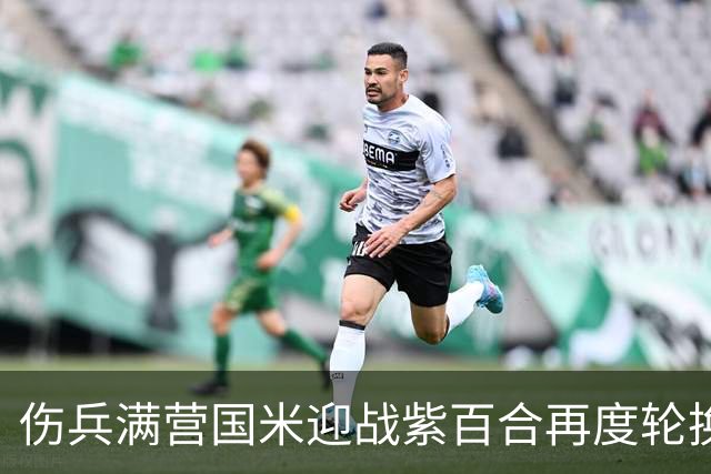 伤兵满营国米迎战紫百合再度轮换，小图恰20面对最爱对手！