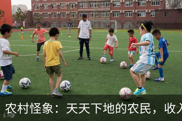 农村怪象：天天下地的农民，收入不如五保低保户？差距从何而来