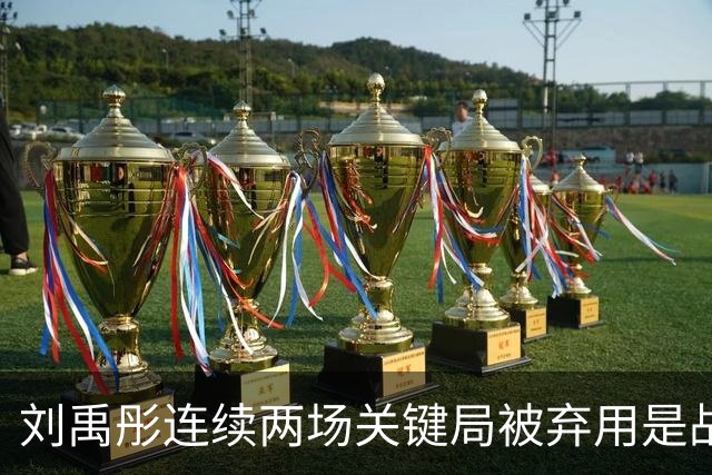 刘禹彤连续两场关键局被弃用是战术外原因？网友扒出教练追着说话，她却连头都不回