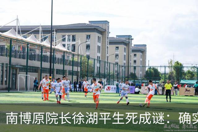 南博原院长徐湖平生死成谜：确实被判三年，但并非因倒卖《江南春》