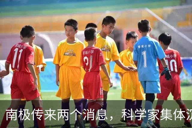 南极传来两个消息，科学家集体沉默：人类的努力，正在失去意义