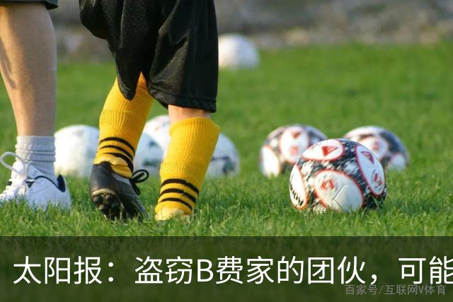 太阳报：盗窃B费家的团伙，可能是利用装修工晒出的照片踩点
