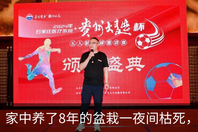 家中养了8年的盆栽一夜间枯死，询问道长才知道，这是为我挡了灾