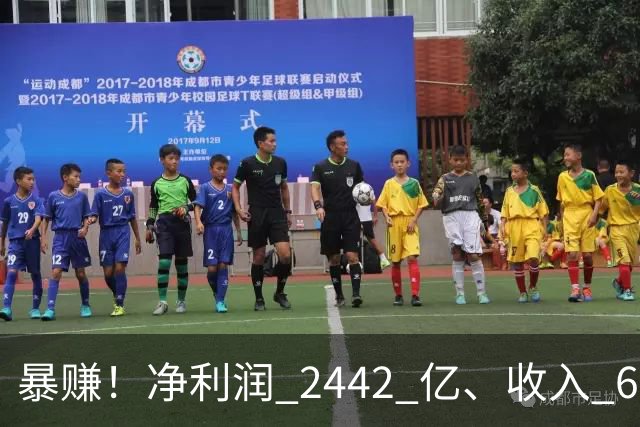 暴赚！净利润 2442 亿、收入 6251 亿
