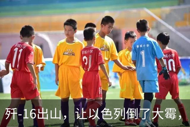 歼-16出山，让以色列倒了大霉，法国宣布重大决定，埃及成为赢家