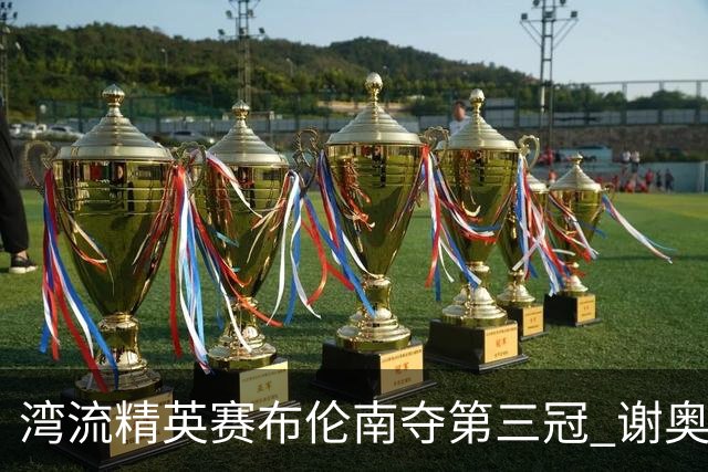 湾流精英赛布伦南夺第三冠 谢奥菲勒冲到T4