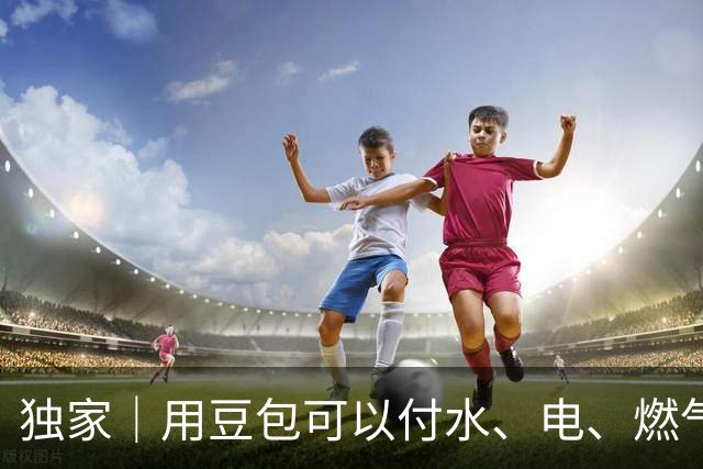 独家｜用豆包可以付水、电、燃气费？回应：正在建设生活缴费等生活场景下办事能力