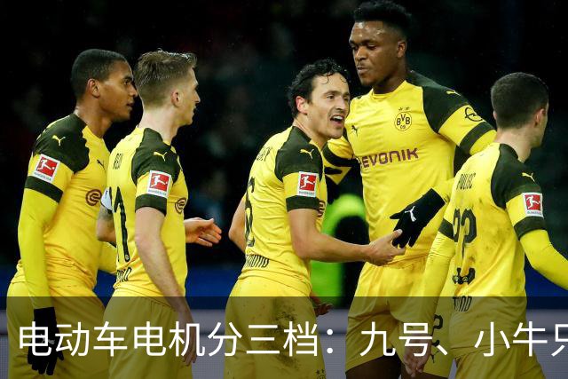 电动车电机分三档：九号、小牛只排第二档，第一档竟是这3个品牌