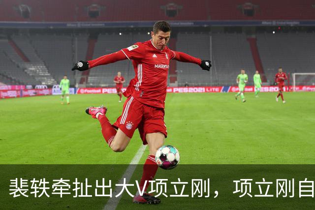 裴轶牵扯出大V项立刚，项立刚自曝把儿子送到国外，让儿子回国读博