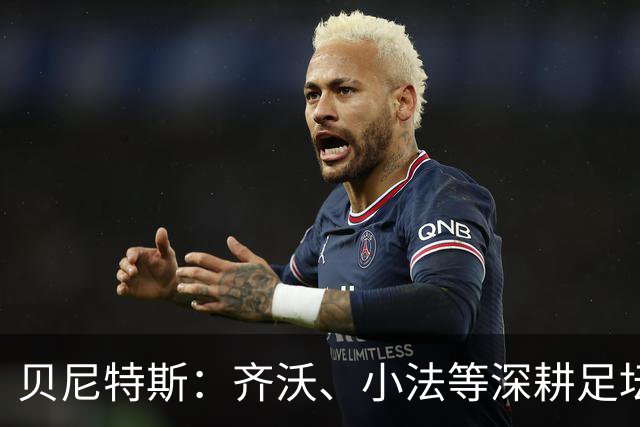 贝尼特斯：齐沃、小法等深耕足坛的人，就是意甲球队最可靠的底气