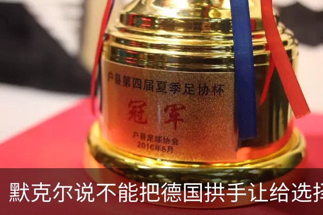 默克尔说不能把德国拱手让给选择党！魏德尔说负债却援乌1000亿欧