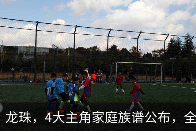 龙珠，4大主角家庭族谱公布，全部认识的都是大神，最后一组让人绷不住了