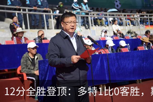 12分全胜登顶：多特1比0客胜，斯图加特跌到第14